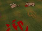 2619.jpg (64KB)