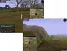 504.jpg (73KB)